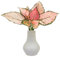 I Giardini di Giulia | Aglaonema Lucky Red in Idrocultura con Vaso Artigianale in Argilla Ø10,5 cm | Pianta Vera da Interno con Foglie Rosa e Verdi | Senza Terriccio – Compatta e Facile (Bianco)