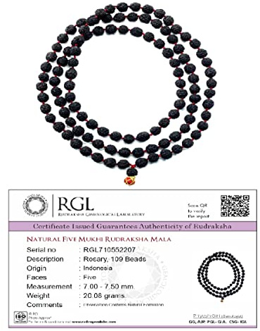Aashita Creations Lab zertifizierte Rudraksha Mala 108 + 1 Perlen (7 mm Durchmesser 35 cm Länge) vollgereifte Perlen
