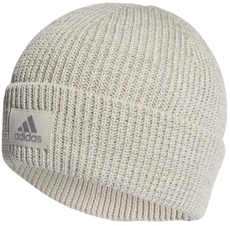 adidas Unisex Beanie X-City Cold.Rdy Beanie, Alumina/Reflective Silver, HN1086, OSFW