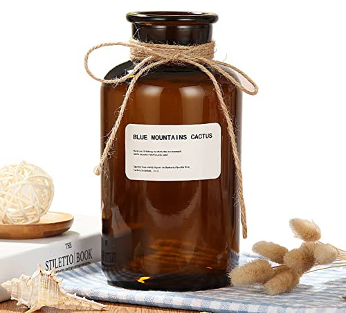 500ML/17oz Empty Amber Glass Vase Bud Apothecary Jars Decorative Floral Bottles Vintage Flower Arrangement Holder Container with Hemp Rope for Home Decor