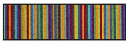Salonloewe Minimatte Lund bunt I Schmutzfangmatte & Fußabtreter für Innen 30 x 100 cm
