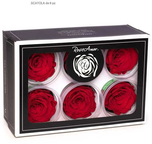 Generico Rose Stabilizzate Rosse scatola 6 pz rosamor, Vere Liofilizzate, Rosa stabilizzata Amor prezzo x tutta la scatola da 6 pz, miglior marca