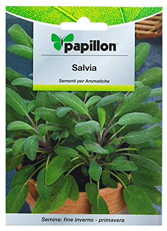 Sementi per orto SALVIA Papillon