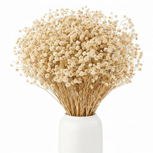BOSONER Pampasgras Trockenblumen Schleierkraut Getrocknet: Ewige Blumenarrangements Pflegefreie Trockenblumenstrauß Für Hochzeits Deko Schlafzimmer Home Decoration Vase Basteln 120 Gramm (Weiß)