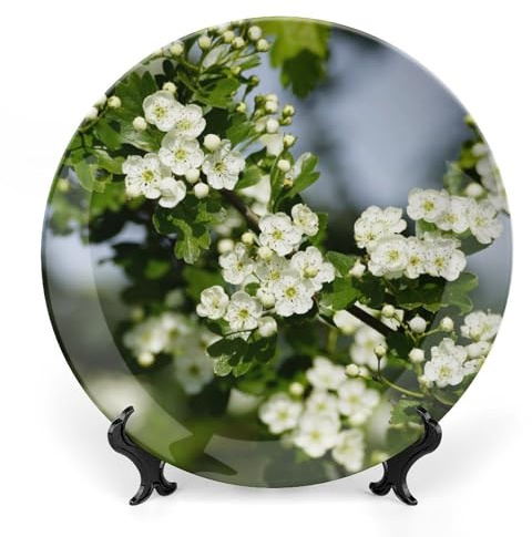 Hawthorn Flower Decorative Plate for Wall Home Wobble-Plate with Display Stand Table Decor Ornament Ceramic Dinner Plate Dessert Dish Holiday Home Decoration 10