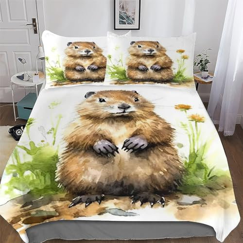 AAPZY Biber Bettwäsche Weich Atmungsaktiv Bettbezüge Set 3 Teilig Mikrofaser Bettbezug Mit Kissenbezüge Für Kinder Erwachsene Deckenbezug Double (200x200cm)