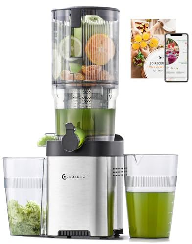 AMZCHEF Entsafter Slow Juicer 136 mm – Saftpresse Elektrisch für Gemüse & Obst – Cold Press Juicer mit 2 Filtern – Leise & Leicht zu Reinigen - Silber