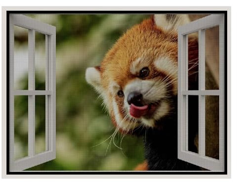 Anti-Fliegen-Netz Fenster, 140x195cm Fliegengitter Mit Hochwertigem Gewebe Schützen Die Familie Vor Insekten Ohne Bohren, Schwarz