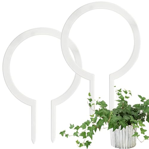 Treillis en Acrylique Transparent pour en Pot | Support de Cage Rond pour Fleurs grimpantes - Support de Tige pour Lierre en Pot