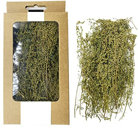Cayway DIY Miniatur Static Grass Tuft Miniatursträucher Büsche Modell Bäume Bush für Miniatur Tabletop Spiele Modelleisenbahn Geländebau, Grün