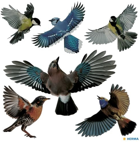 HERMA 15539 Warnvögel Vogel Aufkleber Set für Fensterscheiben groß, 6 Stück, 30 x 30 cm, selbstklebend, ablösbar und wiederverwendbar, Vogelschutz für Fenster aus wetterfester Hart-Folie, bunt