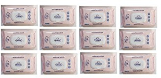 FISSAN Salviettine Delicate - Per Neonati e Bambini - Dermatologicamente Testate - 96% Ingredienti di Origine Naturale - con le Proprietà lenitive dello Zinco - Senza Alcol - 12 Confezioni - 780 Pezzi