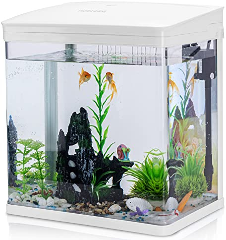 Nobleza - Acuario de Cristal 14L con Cubierta + Luces LED, Filtro Ecológico, 23x16x27.5 cm Visión Clara, Blanco