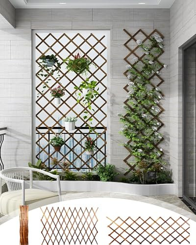 LTSRLL Treillis Extensible en Bois Stable – Support Robuste pour Plantes Grimpantes Et Légumes – Treillage De Jardin en Bois Naturel – Clôture De Décoration Murale Intérieure(H98)