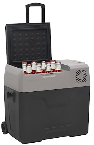 Generico Borsa Frigo con Manico e Ruote Nera e Grigia 30 L Polipropilene,Cucina e Pranzo,Portavivande e portabevande,Refrigeranti-51781
