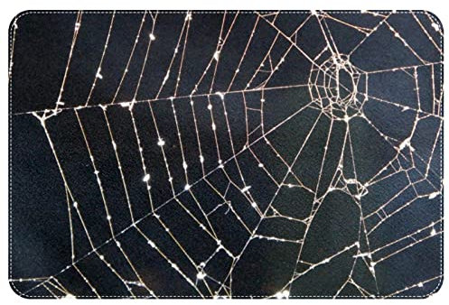 WOSHJIUK Teppich,Fußmatte,Bild Spinnennetz,24x35 Zoll Türteppiche für Wohnzimmer,Bodenmatte,Schlafzimmerteppich