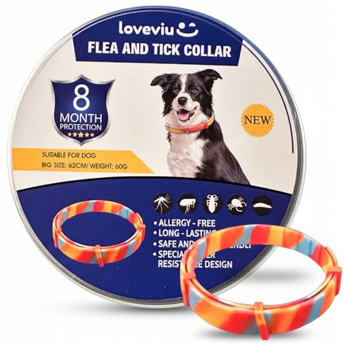 Collar Antiparasitario Perros Grandes o Medianos 100% Natural – Protección 8 Meses contra Pulgas, Garrapatas, Mosquitos & Piojos – 62 cms, Impermeable y Ajustable, Uso al Aire Libre