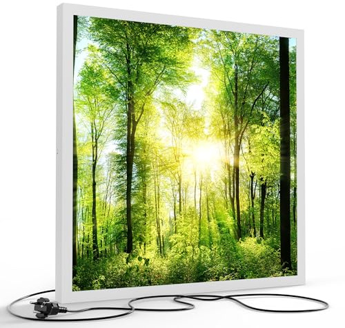 DEQORI LED-Wandbild Sonne durchbricht Wald | Größe 60x60 cm | moderne Decken- & Wandleuchte mit hochwertigem Motivdruck auf PVC – stilvoll für Büro, Flur & Wohnräume – Farbe: Weiß