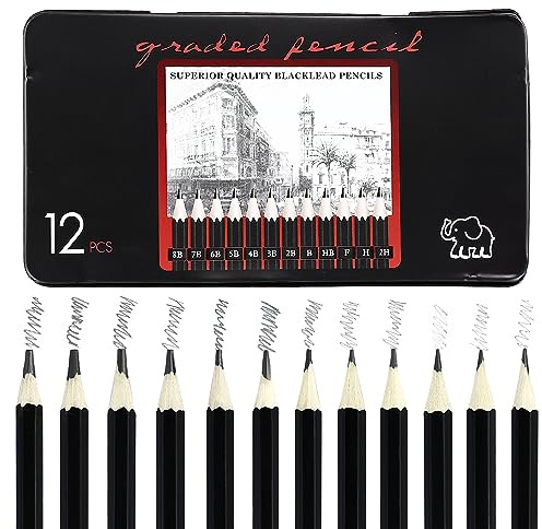 12 Skizzierstifte 8B, 7B, 6B, 5B, 4B, 3B, 2B, B, HB, F, H, 2H Zeichenstifte mit Graphitmine, professionelles Skizzen- und Zeichenstifte-Set, Kunststift (8B-2H), ideal zum Illustrieren und Schattieren