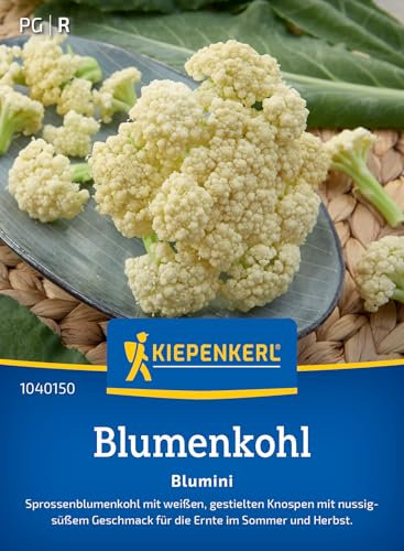 Kiepenkerl Blumenkohlsamen Blumini 104015