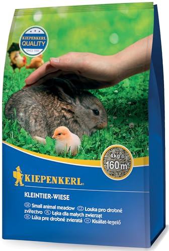 Kiepenkerl Kleintier-Wiese 651654, Rasensaat | Für Kleintierrasen, gesunde Frischfutterquelle, hoher Zierwert