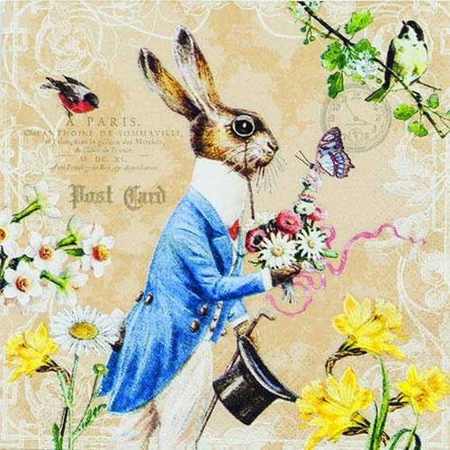 20 Servietten Hase im Kost?m | M?rchen | Ostern | Tischdeko 33x33cm