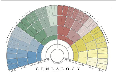 NCONCO Familienbaumdiagramm 6. Generation Genealogie Poster Genealogie Wandposter blanko befüllbar Ahnentafel Personalisierte Home Wohnzimmer Wanddekoration, 1742501/120424EHJADW