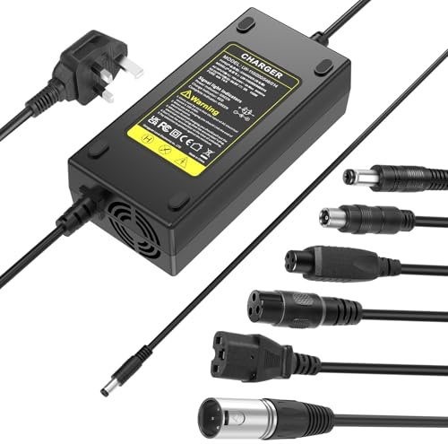 ARyee 54.6V 48V 2A Electric Scooter Charger for 13S 48V Lithium Battery, with 6 Connector, Li-ion Battery Charger for Mobility Scooter, Electric Wheelchair, Motorcycle, EBike