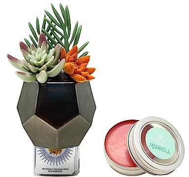 Bath & Body Works Plug Geo Succulent Nightlight Wallflowers Fragrance Plug and a Strawberry Lip Balm.