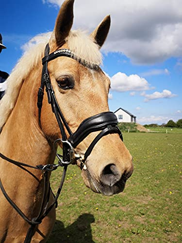 Countrypride EQUIPRIDE ANATOMICAL BRIDLE ABRAM DIAMANTE BROWBAND WITH ANTI SLIP RUBBER REINS BLACK & BROWN (Black, Pony)