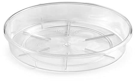 Decorspace Plato para maceta redondo de colores para exterior y jardín (32 cm), transparente