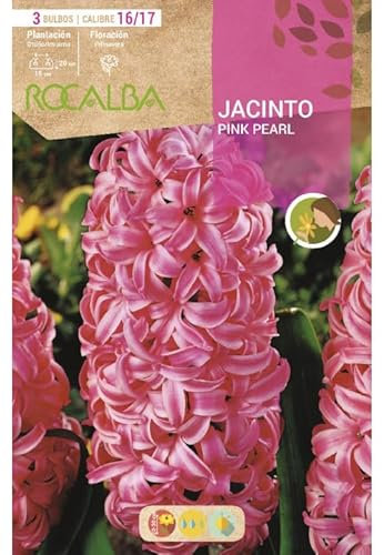Peyca Bulbo de flor variedad Jacinto pink pearl 3 unidades - Rocalba