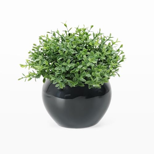 Velener Fake Sage Plants for Shelf Decor, Small Artificial Succulents Grass Desk Plant for Office Women, Mini Faux Plant Indoor, Masculine Home Decor, Coffee Table Decor in Pot