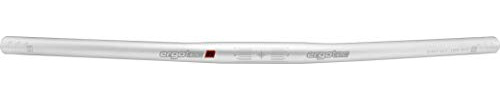 XtasY 25,4 GW600 GL190 GH0 12° - Manubrio per bicicletta da adulto Flat Bar, colore: Argento Sabbia