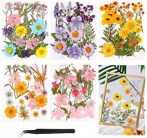 Real Dried Flowers Natural Dry Flowers 96Pcs Multicolored Pressed Flowers, Colorful Natural Flowers Dry Pressed Flowers with Tweezers, Real Pressed Flowers for DIY Scrapbooking Home Decorations
