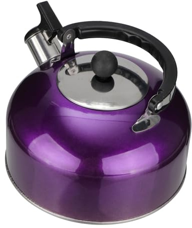 Gatuida Bouilloire à Sifflet Inox Résistante Chaleur Compatible Gaz et Induction Poignée Ergonomique Confortable pour Maison et Bureau Design Intégré Coloris