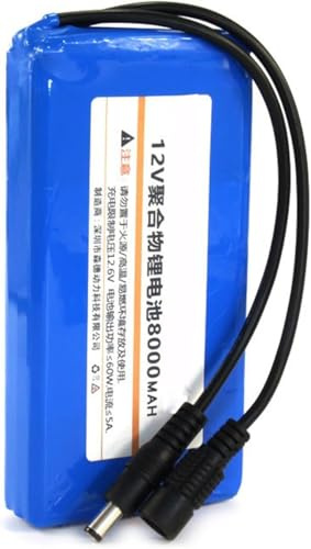 Batterie étanche 12v 8000mah Batterie Au Lithium Polymère 12 Volts Batterie Li-ION Rechargeable avec Connecteur DC pour Appareils électriques 12v