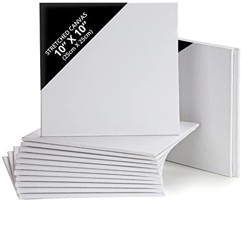 Belle Vous 14 Stück Leinwand zum Bemalen, 25 x 25 cm, vorgedehnte leere Leinwand, ideal für Ölmalerei, Acryl und zum Zeichnen und Skizzieren