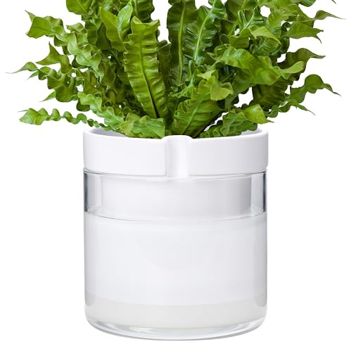 Phoenix Vine 52-B-H-1 Pot de Fleurs en Terre Cuite avec réservoir en Verre pour Plantes d'intérieur, Herbes, Fleurs, Blanc, 20,3 cm