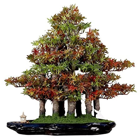 CCYENG Künstlicher Kleiner Bonsai-Baum, künstliche Tanne, Bonsai, Simulation, Kiefer, Zypresse, künstliches Moos, eingetopft, Innen- und Bürodekoration, künstliche Schreibtischpflanzen, k