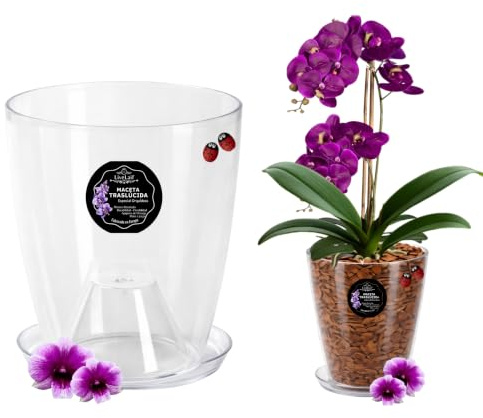 LiveLaif - Maceta orquidea Transparente Conica Ø13x15cm + Plato | Maceta Transparente orquidea | Agujeros Drenaje, Efecto Vidrio | Maceta para orquídeas | Hecha en España-Modelos a Elegir
