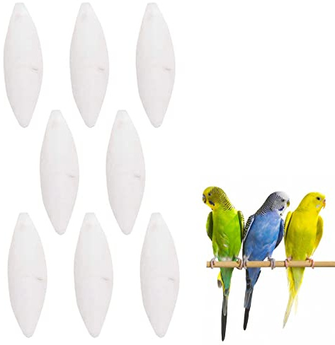BAOSROY tuggleksak för fåglar, bläckfisk benmaterial, för fåglar, tugga, tristess mönster, unisex, inomhus, unga och små husdjur, 8 st, 5-7 cm