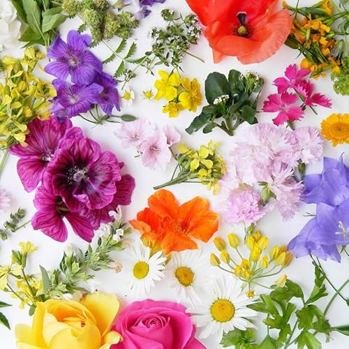 20 Servietten Blumen Leinwand an bunten Blumen als Tischdeko. Papierservietten mit Motiv. Auch für Decoupage und Serviettentechnik 33x33cm
