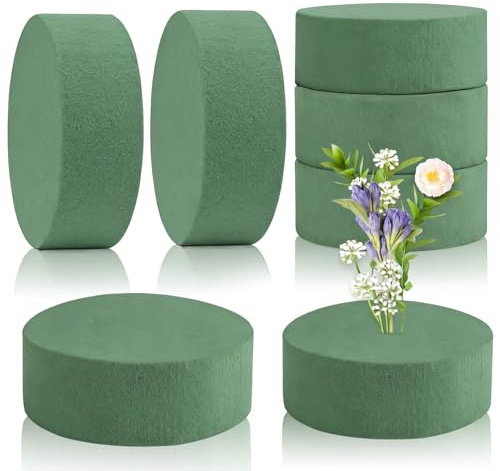 HO-SFSM 6 Stück Rundes Steckschaum, Steckmasse für Frischblumen, Nasssteckschaum, Steckmasse für Frischblumen, für Blumenarrangements, Basteln, Hochzeit, Geburtstag, Partydekoration