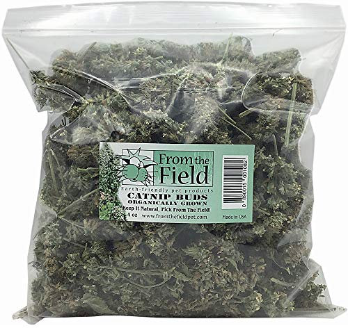 From The Field Premium Katzenminzeknospen für Katzen, organisch, in den USA angebaut, frisch und wirksam, natürliches, umweltfreundliches Katzen-Leckerli zum Spielen und Entspannen, Katzenminze für