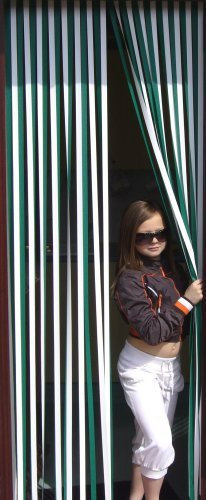 Holland Plastics Original Brand Heavy Duty Window Screen, Fly Protection, Strip Screen, Door Panel – Green and White (100 cm Wide)