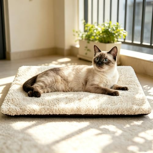 MORA PETS Self Heating Cat Mat Thermal Pet Heating Pad No Electricity, Washable Self Warming Cat Bed Cozy Kitten Blanket for Indoor Cats & Small Dog, Removable Zipper Cover, Non-Slip Base, Size S
