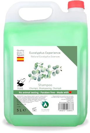 Champú 5 litros Eucalyptus Experience - garrafa uso profesional para dispensador - fórmula con pH neutro y aroma a eucalipto - limpieza capilar refrescante para hoteles, gimnasios o colegios - Vitacab