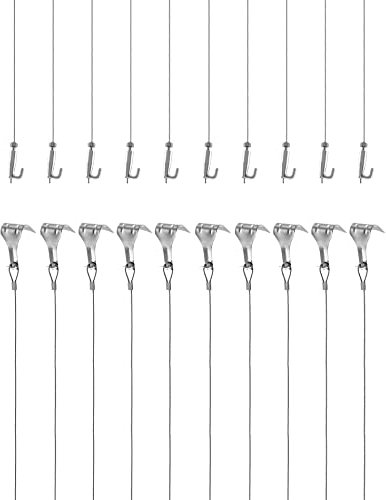 Alambre Colgante para Colgar Cuadros Pinturas Fotos, Cable de Colgar de Acero Inoxidable de 2m x Φ1.5mm con Ganchos Ajustables y Gancho de Carril, 10 Piezas