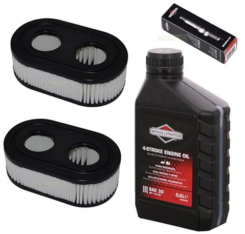 perfektGarten Zündkerze + Filter + Rasenmäheröl kompatibel mit Briggs & Stratton B&S BS 625E 650EX 675EXI